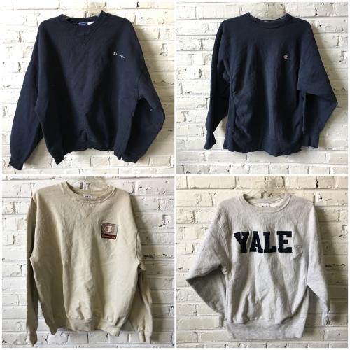 champion sweatshirt bulk